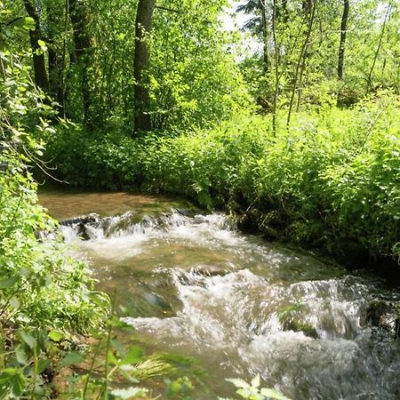 Charming Holiday Home In Malmedy With Sauna Eksteriør billede