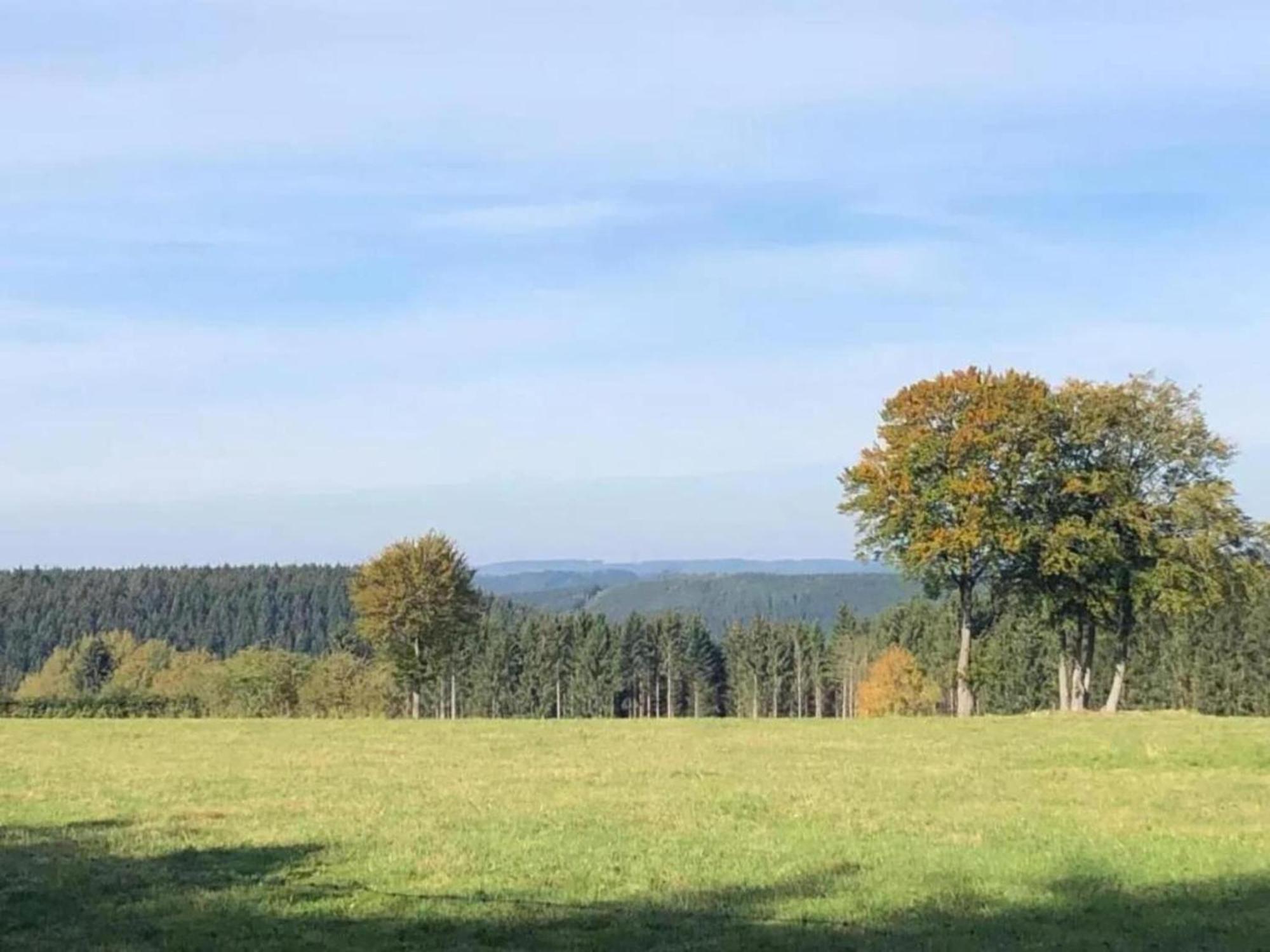 Charming Holiday Home In Malmedy With Sauna Eksteriør billede