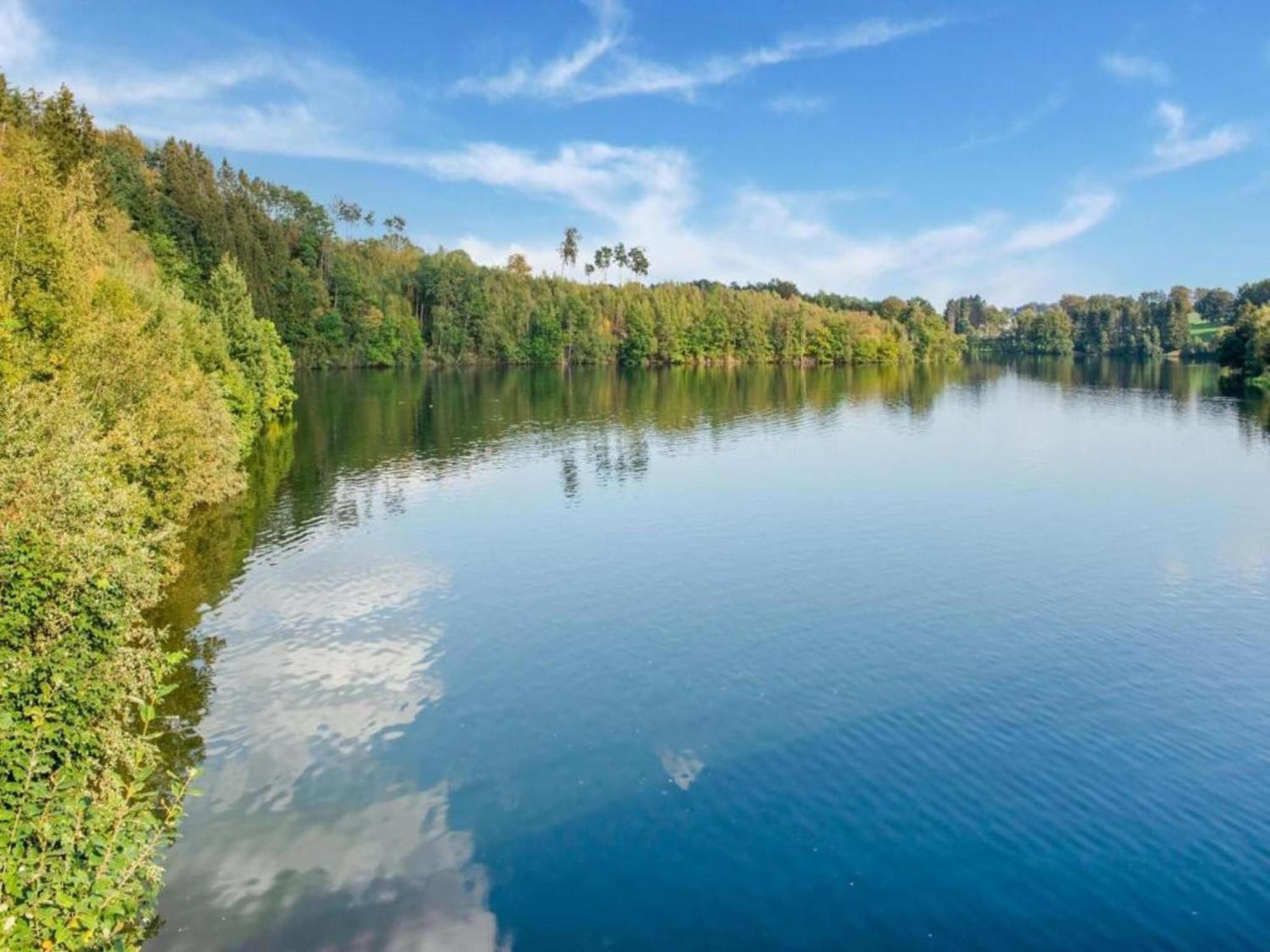 Charming Holiday Home In Malmedy With Sauna Eksteriør billede