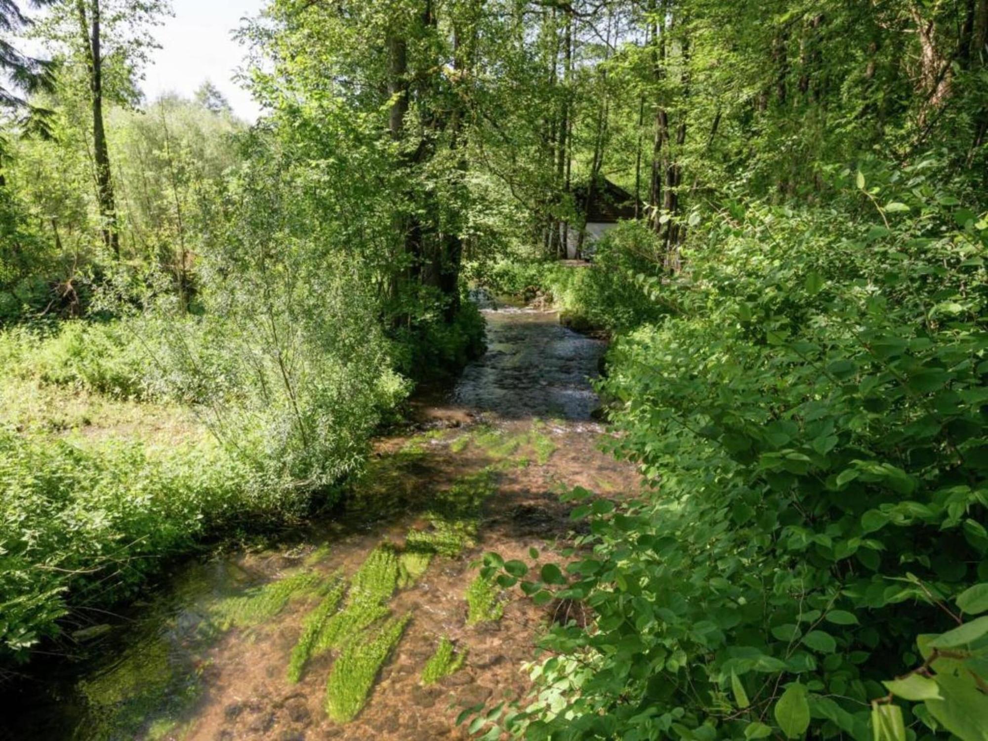 Charming Holiday Home In Malmedy With Sauna Eksteriør billede